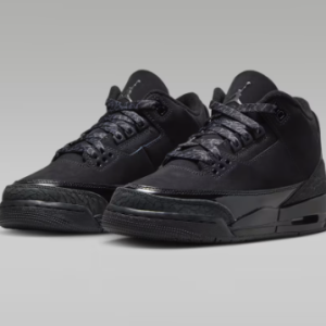Air Jordan 3 Retro Black Cat.